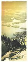 Matt Brown Woodblock Print Sunlight And Squam Lake
