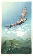 Matt Brown Woodblock Print Osprey Over The Connecticut, print sold out