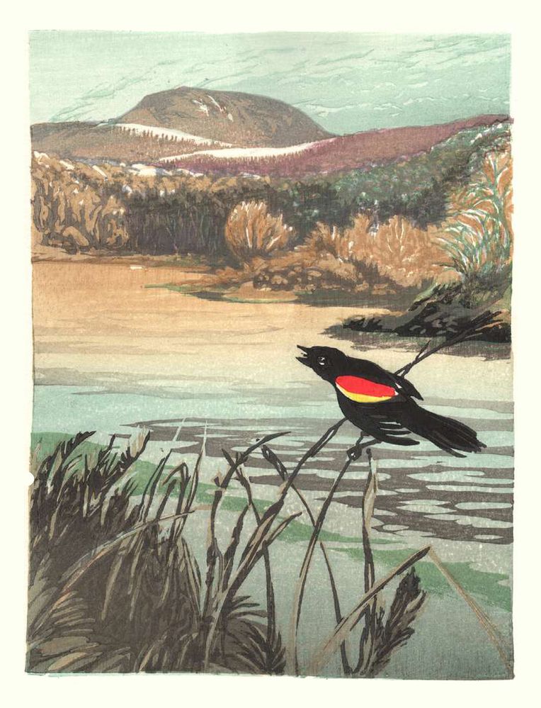 Matt Brown Woodblock Print Red-Winged Blackbird, 4th State